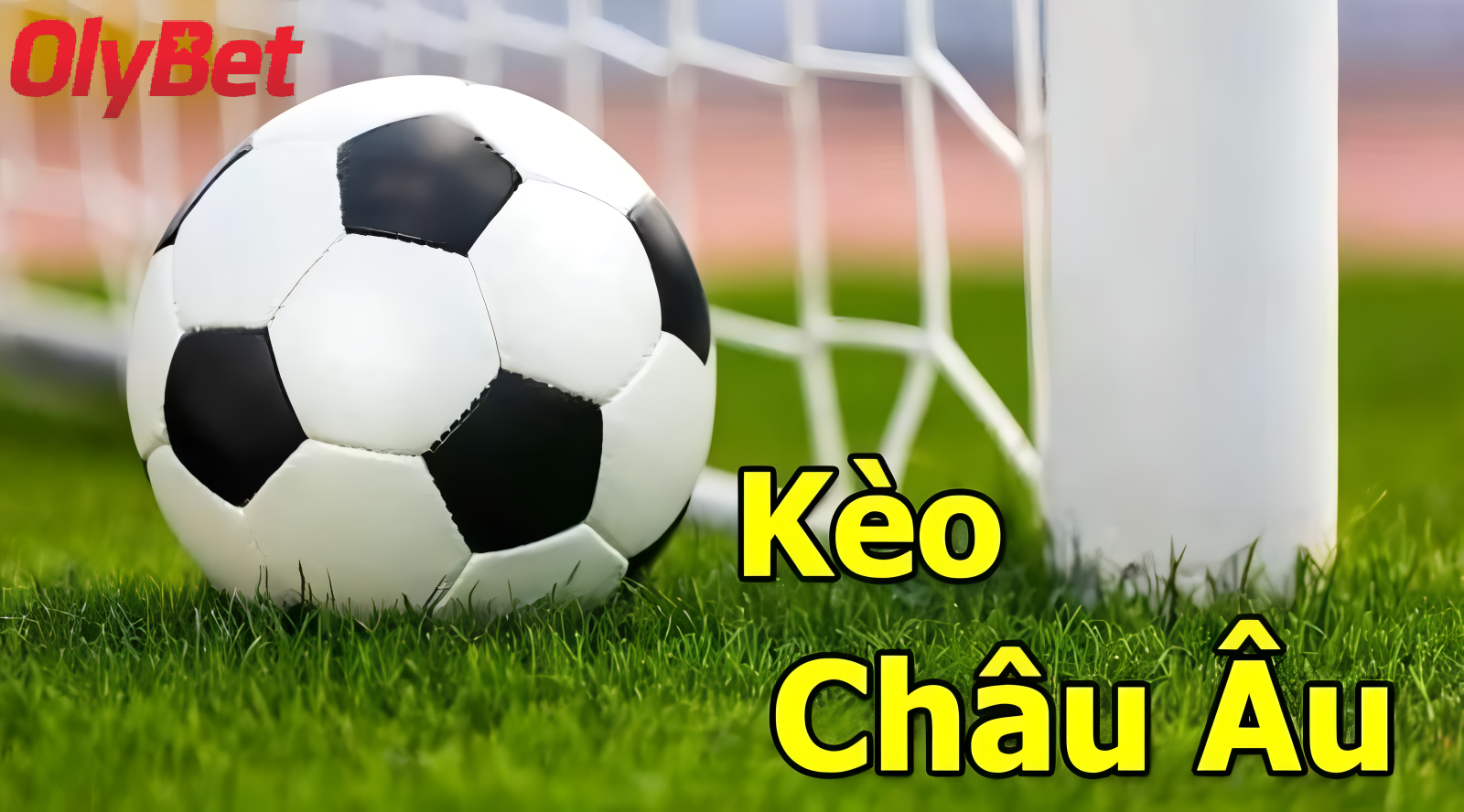 kèo châu Âu Olybet là gì?