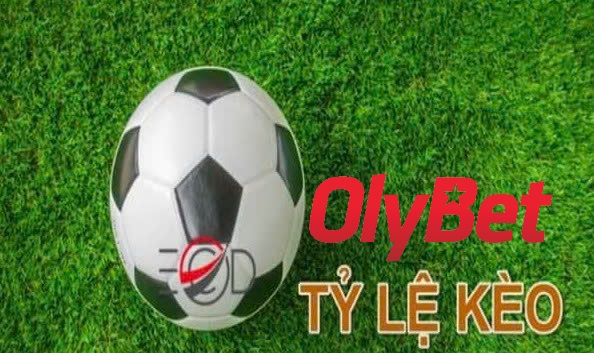 Khám Phá Hệ Thống Kèo Cá Cược Đa Dạng Tại Olybet